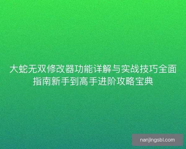 大蛇无双修改器功能详解与实战技巧全面指南新手到高手进阶攻略宝典