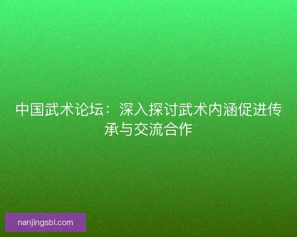 中国武术论坛：深入探讨武术内涵促进传承与交流合作